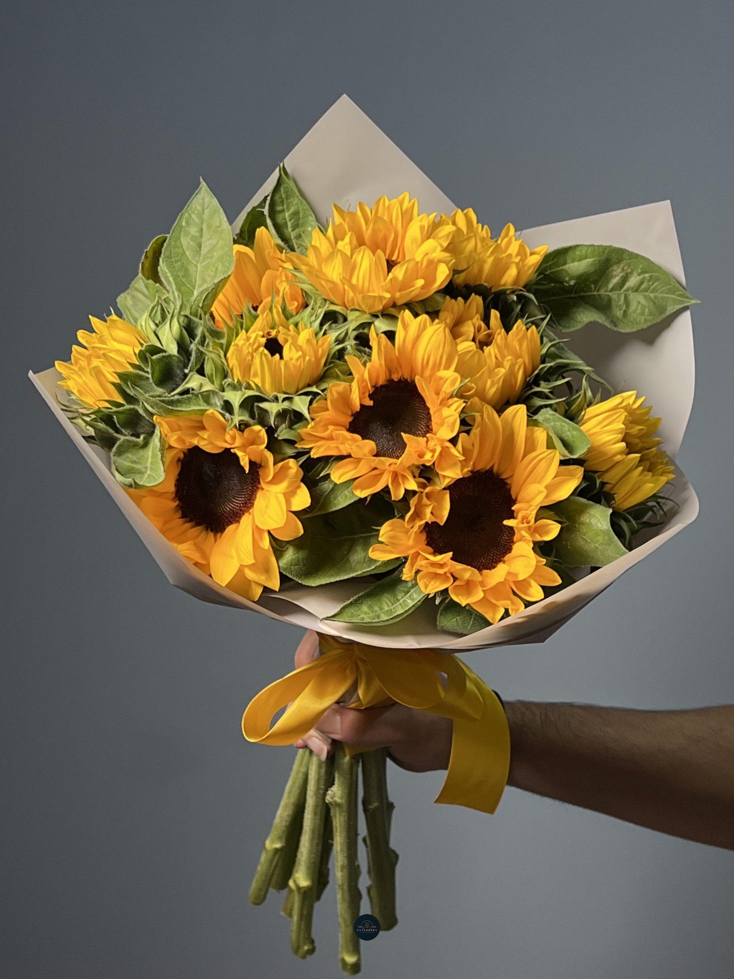 IMG 1602 Copia Scaled1